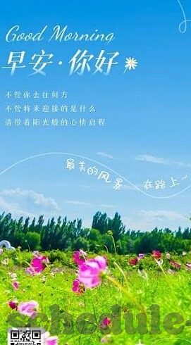 瑞典世界杯明星队员-瑞典世界杯明星队员,闪耀赛场的光与影